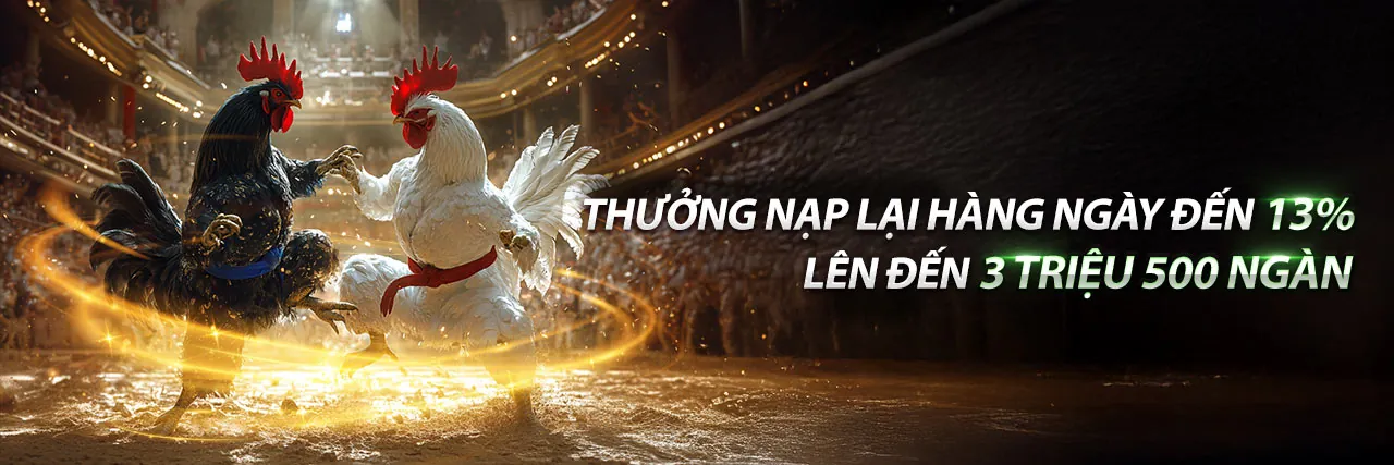 Đá gà trực tuyến F8BET LOGIN - Sân đấu kịch tính